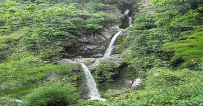 Sikkim & Darjeeling Tour Package - Silk Route Tourism